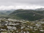 Viksetnipa