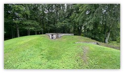 Hortensskogen