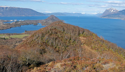 Ramnfloget