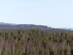 Rødsåsen