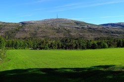 Gjeltheia