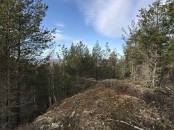 Nordre Jølsenåsen