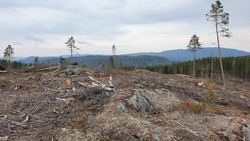 Vesle Nybuåsen