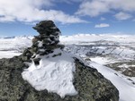 Leverkinna