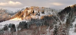 Veten i Naustdal