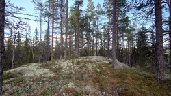 Ridalsbergi