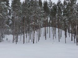Svantjennhaugen