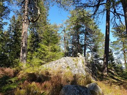 Grinderkollen