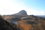 Solbjørgnipa