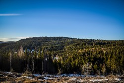 Røinelihøgda
