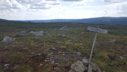 Kotuva