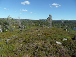 Hestefjell