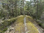 Dalsåsen