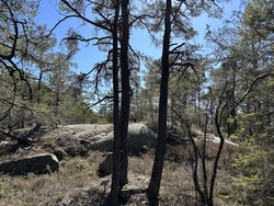 Stenbudalskollen