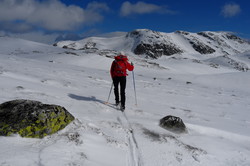 Røysdalsnuten