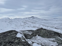 Sildviktinden