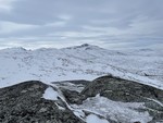 Sildviktinden