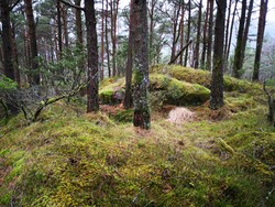 Åsebøåsen