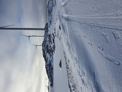 Måkaknuten