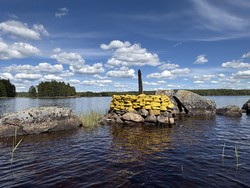 Riksrøys 54