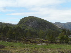 Skogaknuten