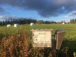 Markusseterveien