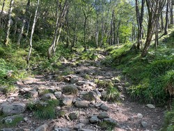 Skaret