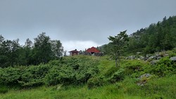 Vingesætra