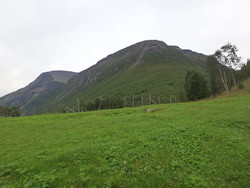 Isfjellet