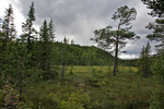 Snøåsen