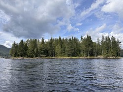 Gåslungsbrannodden