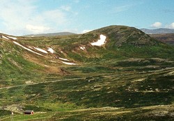 Lykkjenuten