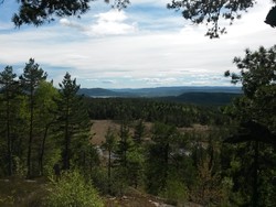 Bertelsmyråsen
