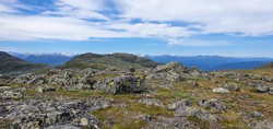 Gråurdhøa