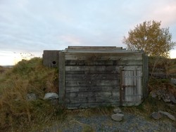 Åsnuten