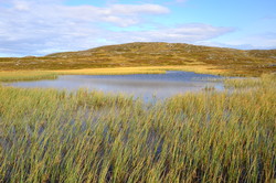 Sprøyten