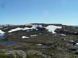 Nibbesteinheia