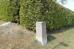 Bystein 1