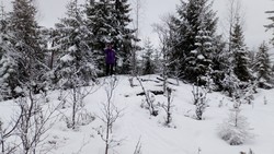 Egneråsen