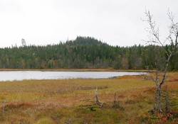 Syversdalsbrenna