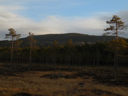 Venberget