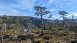 Flåskarhaugen