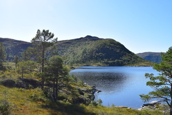 Fjordaheia