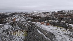 Svadfjellet sørvest