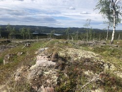 Skottehøgda