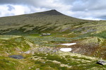 Fjøshøa