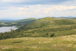 Dvergaknatten