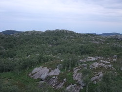 Gaulerottan