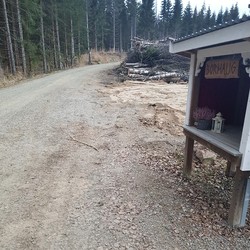 Borhaug p-lomme