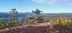Søre Kvitmåssårabben